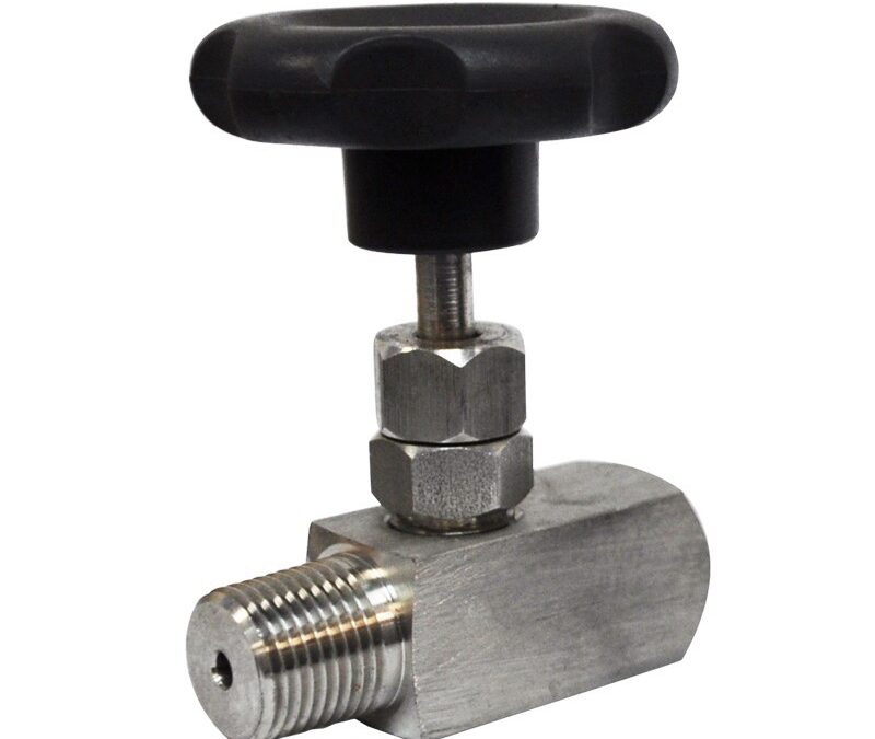 Válvula Agulha para Vapor